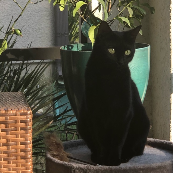 Meet the Posher...Pam - Picture 9 of 16